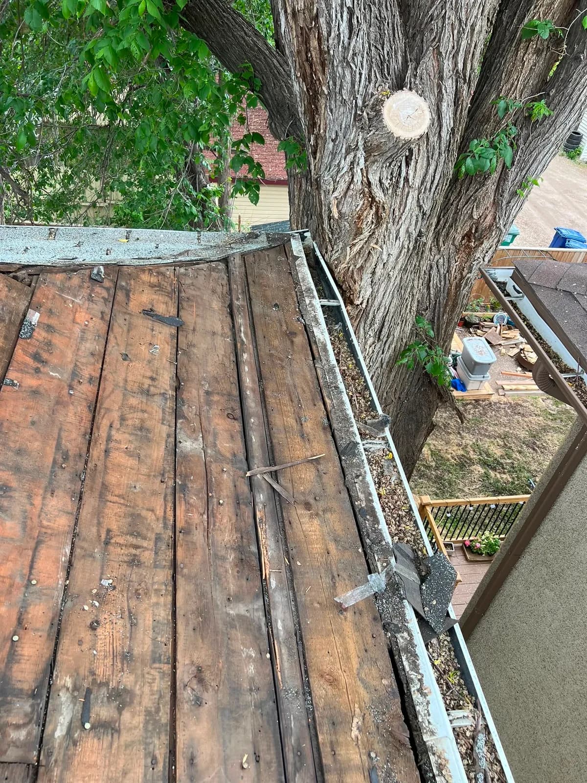Old board decking exposed at the eave, beside an aluminum eavestrough full of leaves, under a large tree