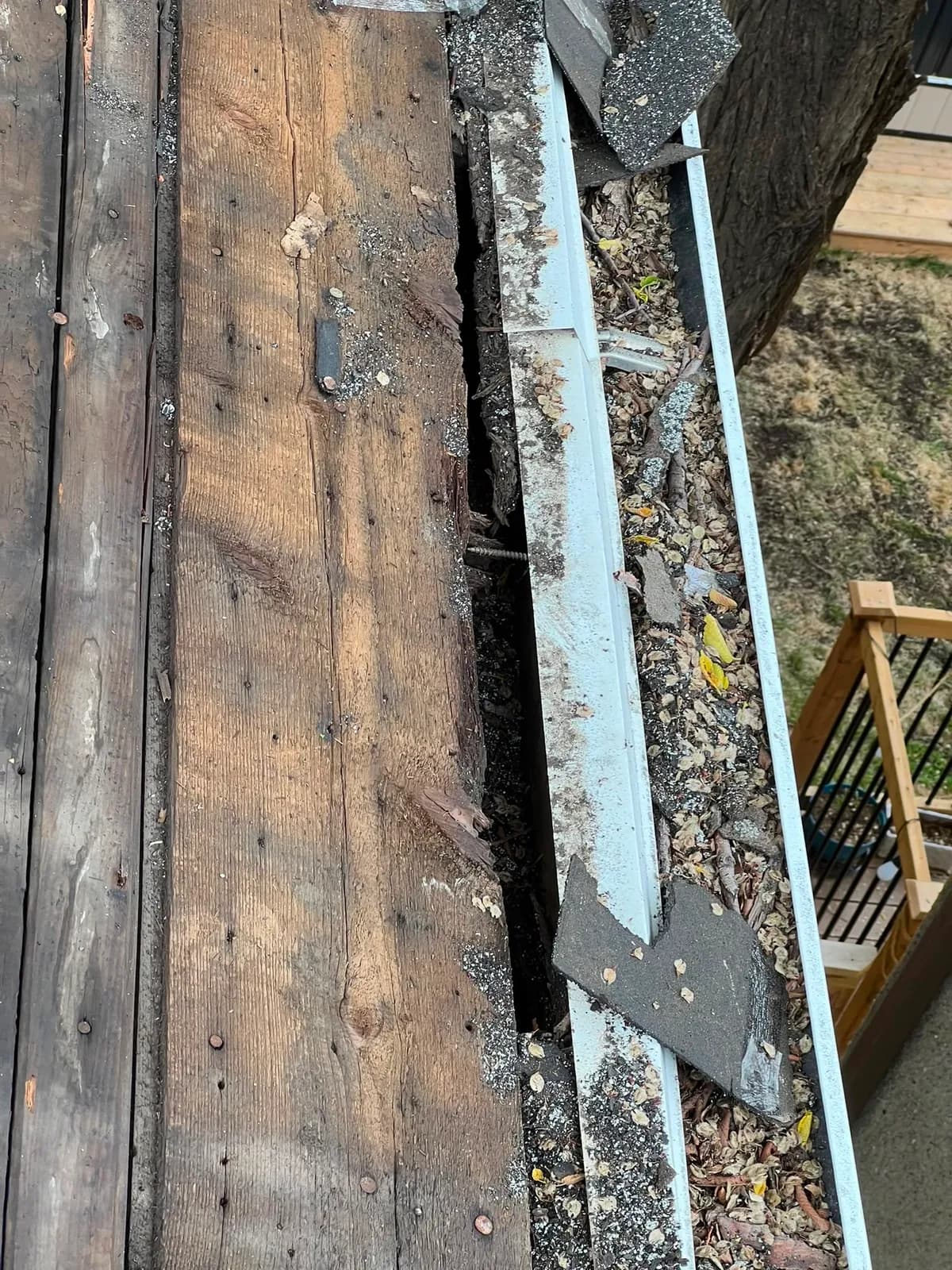 Close view of rotted wood at the roof edge, between old decking boards and a gutter full of debris